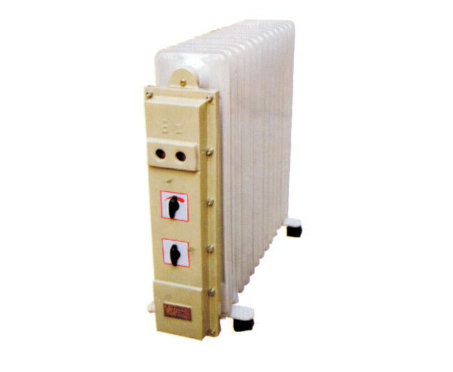 BDN01系列防爆电暖器(IIB、IIC、DIPA20)