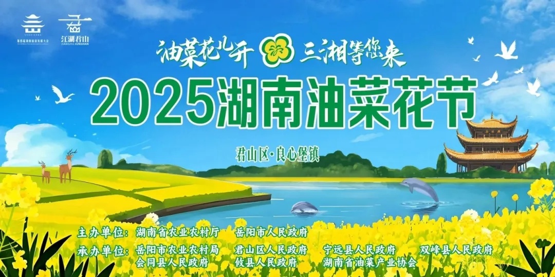 共赴春日金色之約！亞美茶油點亮油菜花節(jié)，譜寫農(nóng)旅協(xié)奏曲