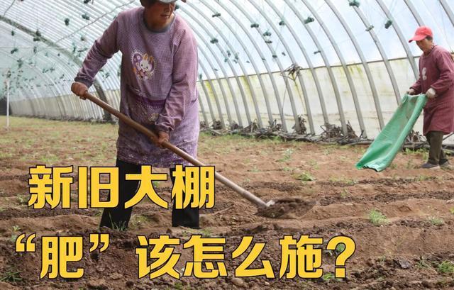 圖片名稱
