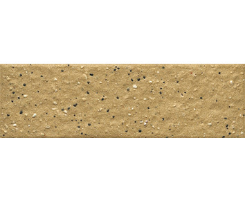 45x145mm大颗粒通体砖
