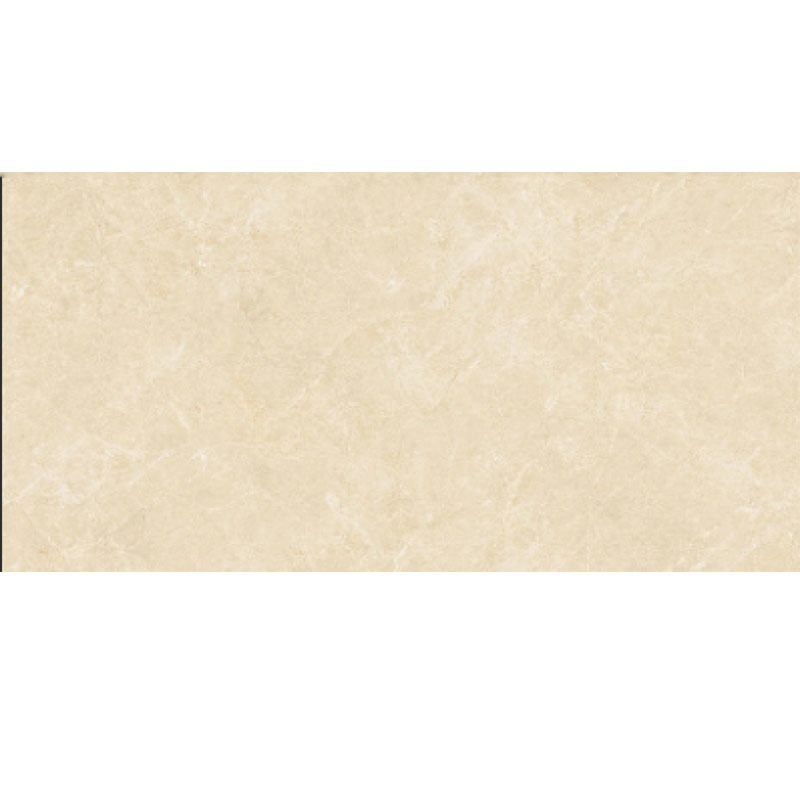CT1812DP