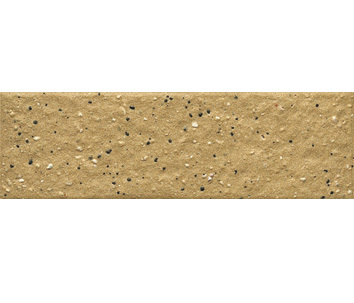 45x145mm large grain through-body brick