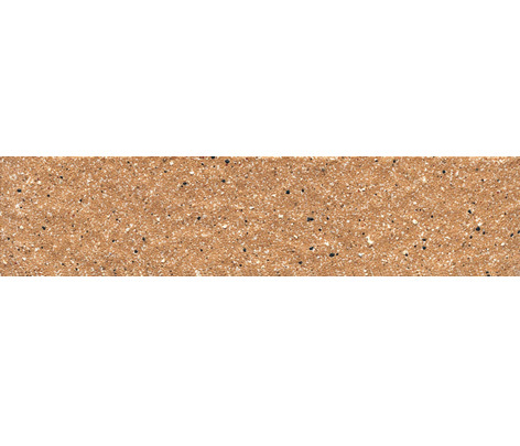 45x195mm large grain through-body brick