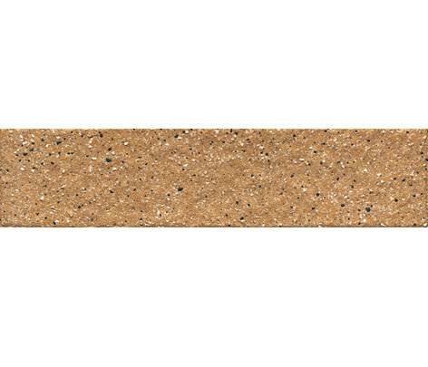 45x195mm large grain through-body brick