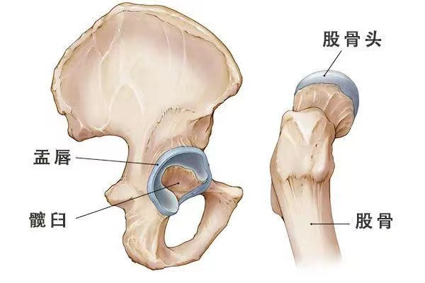 “刘畊宏女孩们”，怎样运动更合理？听听骨科专家的建议