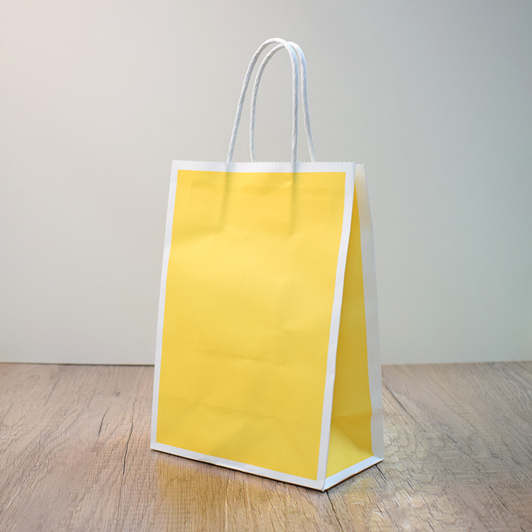 Takeaway Bag With Handle