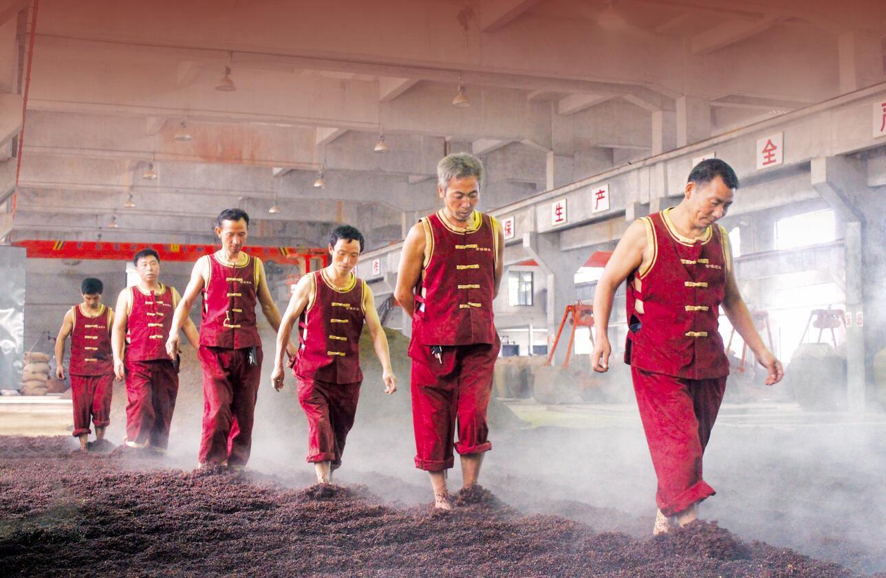 酒中酒集团古镇酒厂生产工序