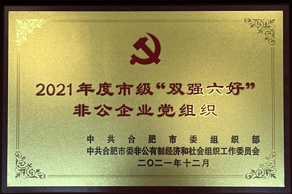 2021年度市級(jí)“雙強(qiáng)六好”非公企業(yè)黨組織