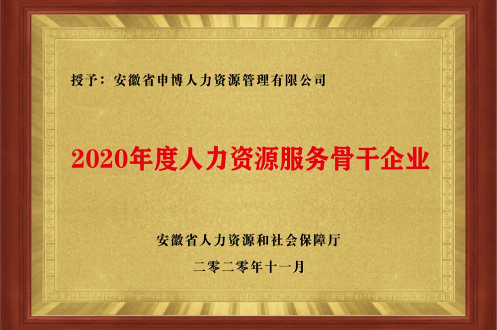 2020年度人力資源服務(wù)骨干企業(yè)