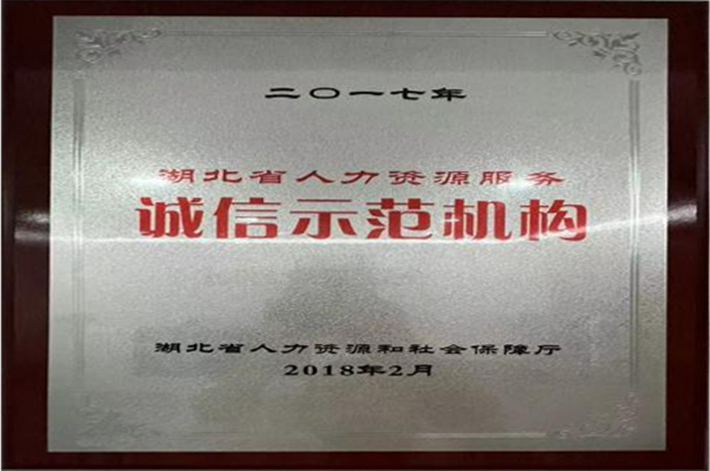 2017年湖北省人力資源服務(wù)誠信示范機(jī)構(gòu)