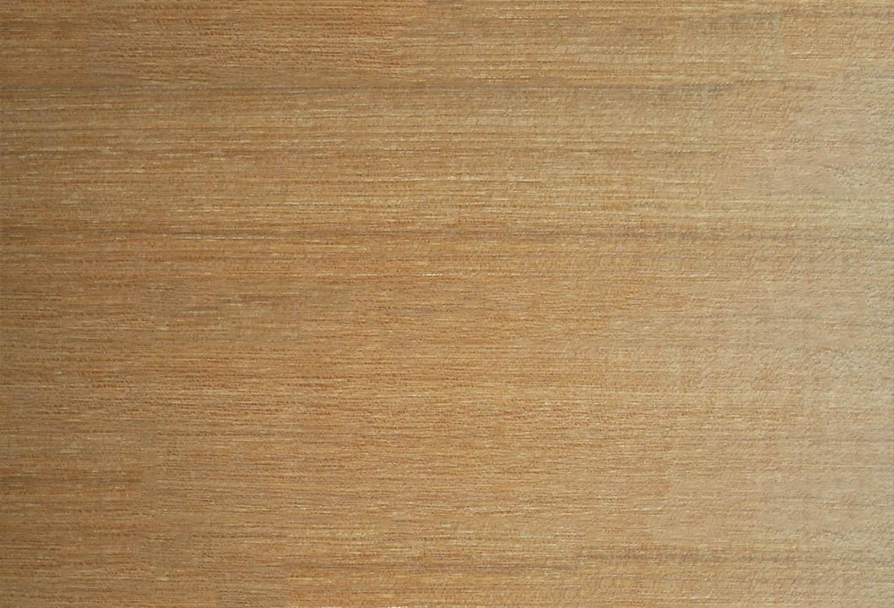 梢木