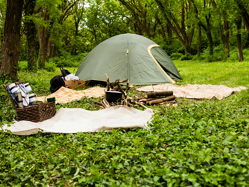 Picnic camping opens a new direction for the small appliance market