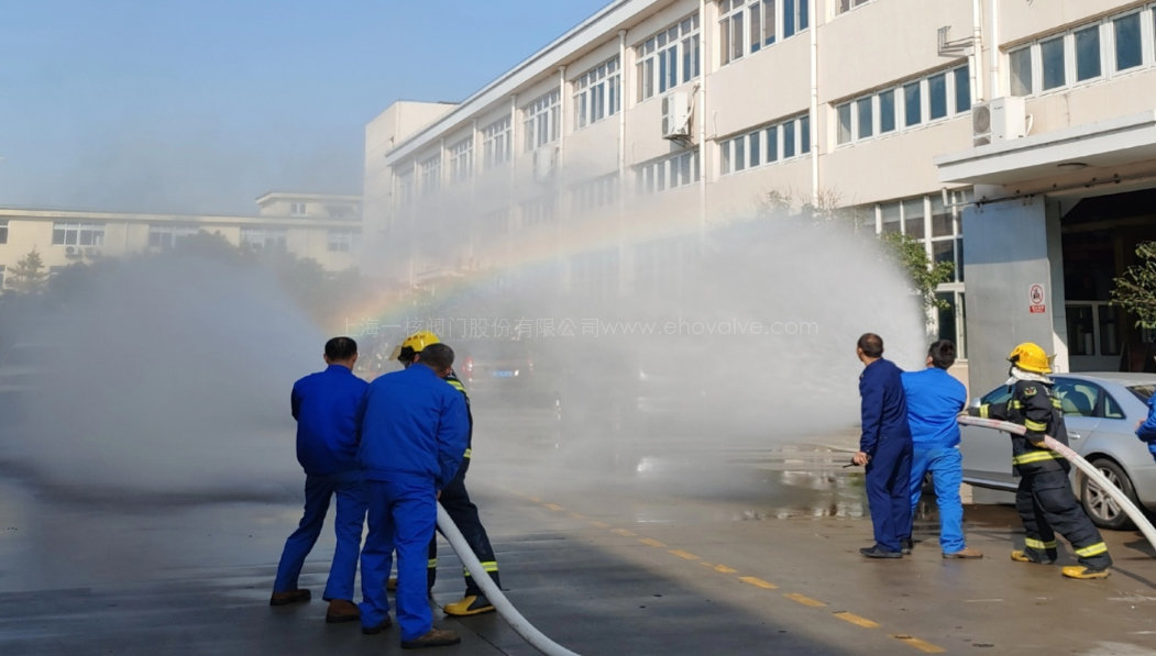 当地政府和消防部门对此次演练高度重视，给予了极大的关注和有力的支持，嘉定区外冈镇安监所沈雪军所长、望新消防救援站刘臻书记亲自带队到现场一线指导。消防维保单位相关人员参加了演练活动。