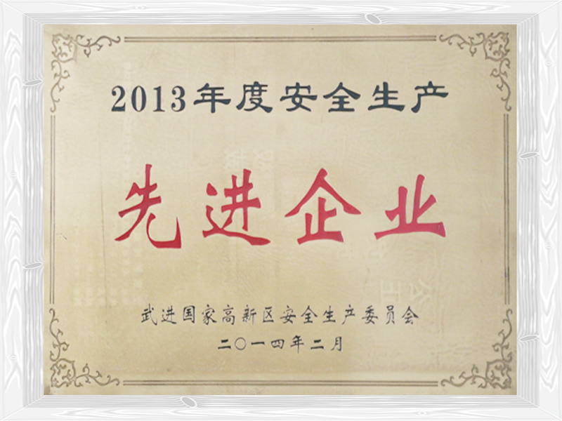 2013先进企业