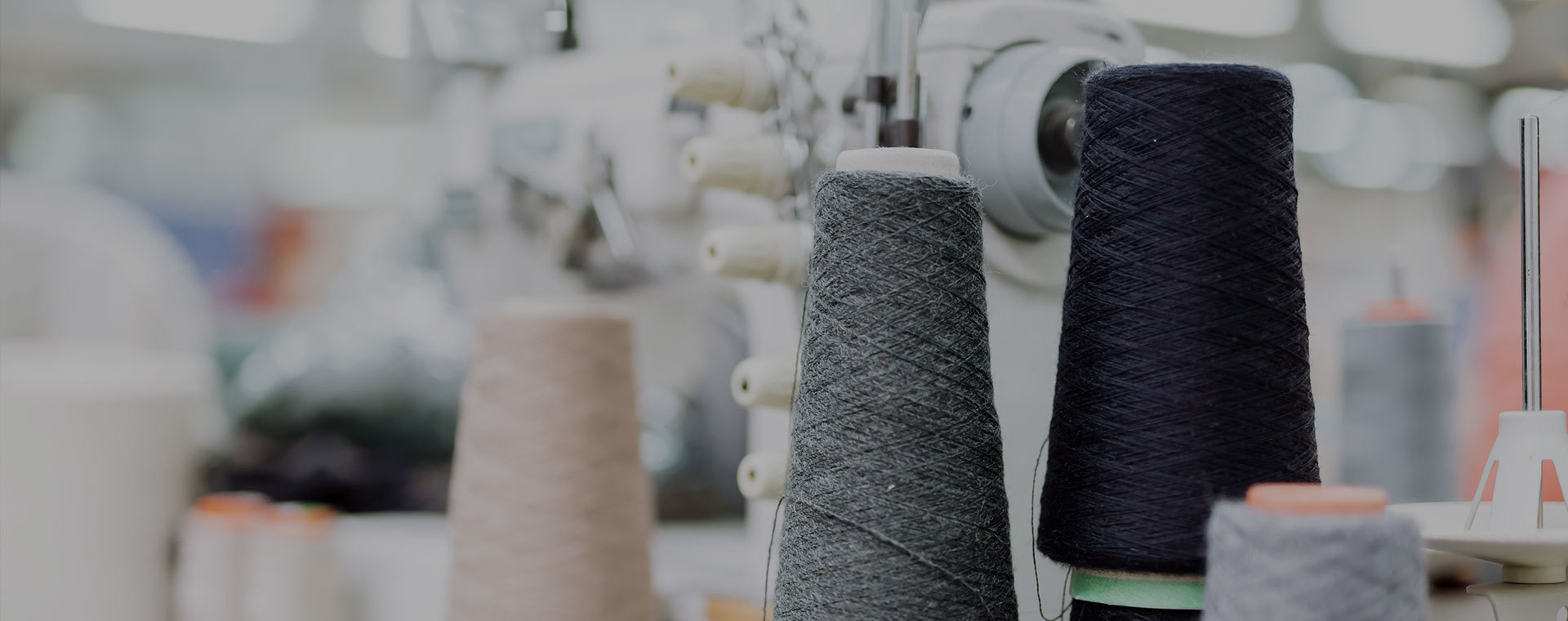 Jiangsu Longyuan Special Fiber Co., Ltd.