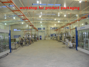 Workshop for Product Packaging