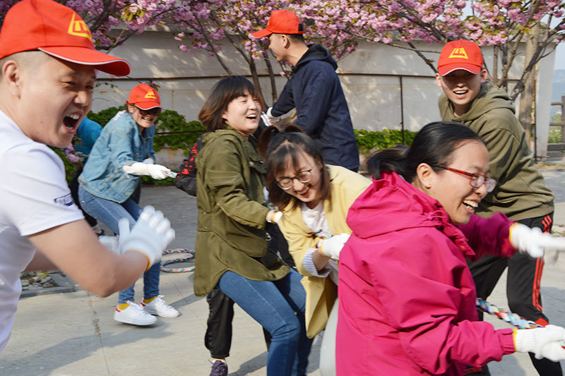 Tug-of-war Competition