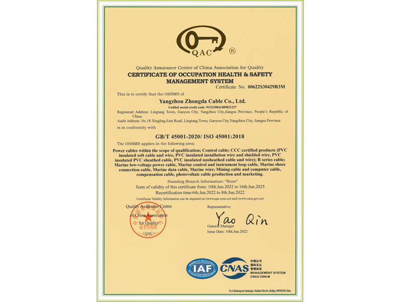 Occupational Health and Safety Management System Certification