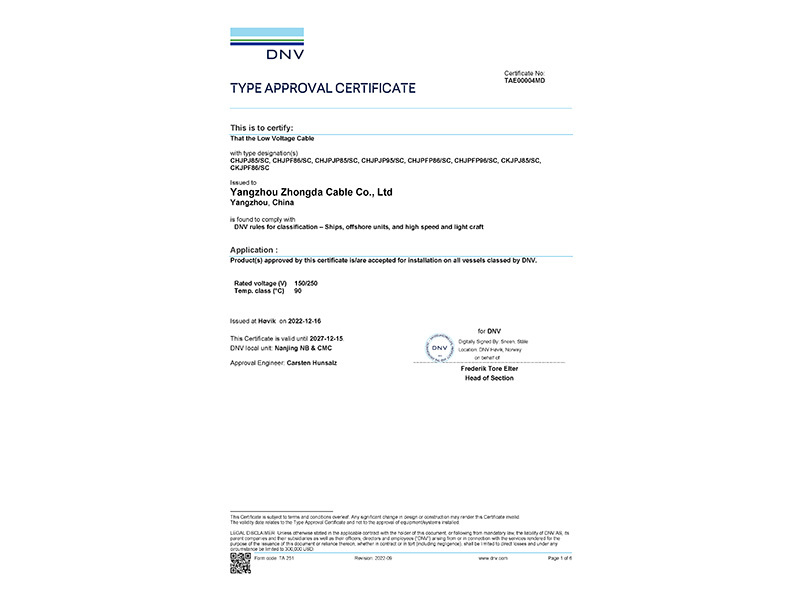 DNV Shipping Inspection Certificate
