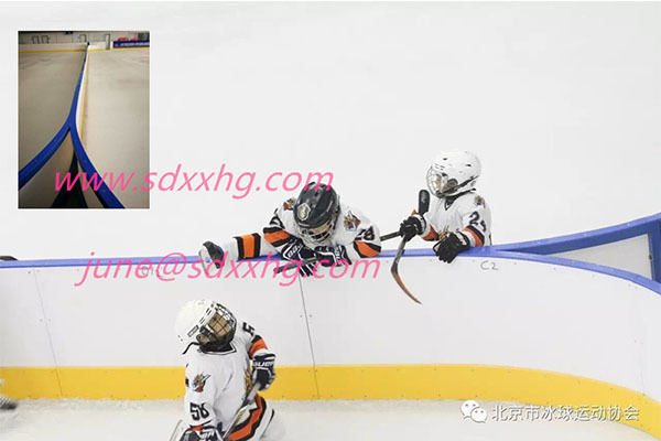 removable arena dasher boards for China Sports Show