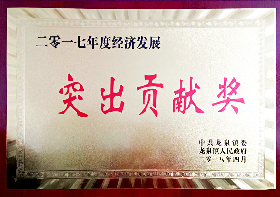 2017年度經濟發(fā)展突出貢獻獎