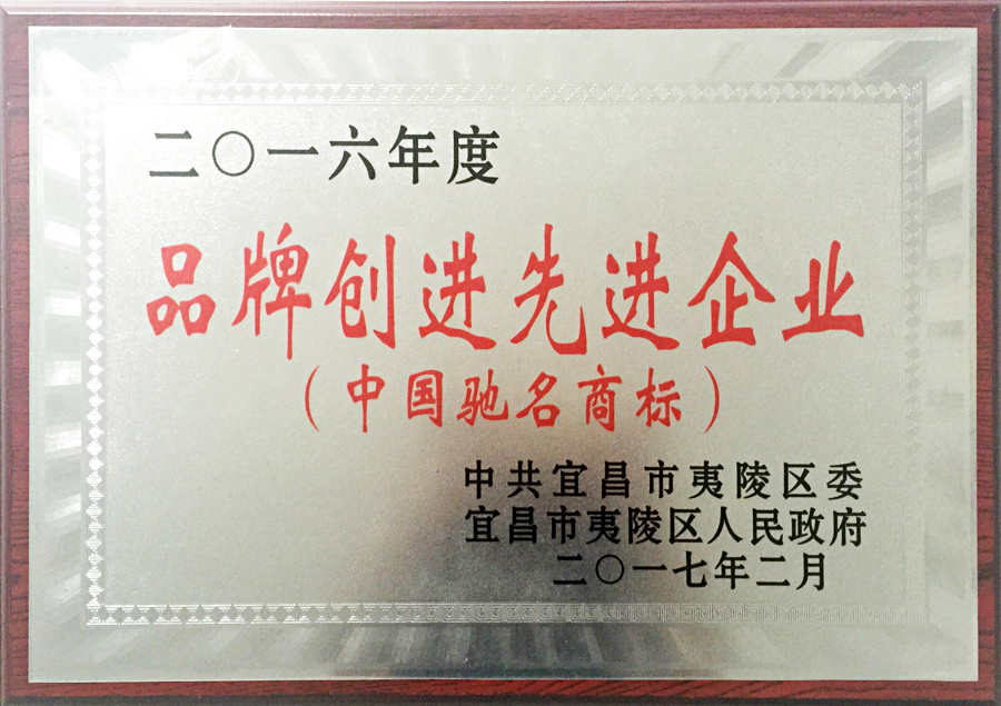 2016年度品牌創(chuàng)進先進企業(yè)