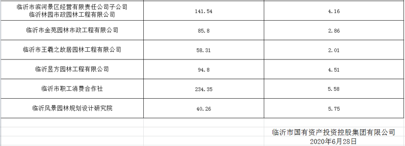 临沂市国有资产投资控股集团有限公司