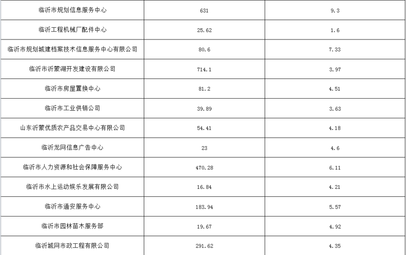 临沂市国有资产投资控股集团有限公司