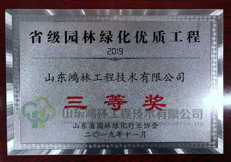 承建的山东金科集美天辰项目评为2019年度省园林绿化优质工程三等奖