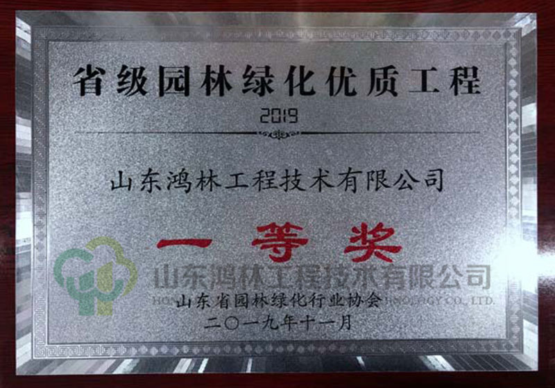 承建的鲁能泰山7号体育公园一期评为2019年度省园林绿化优质工程一等奖
