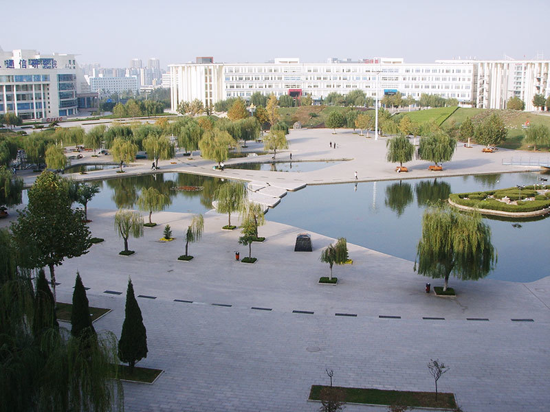 齐鲁软件园创业广场绿地增植移植养护工程