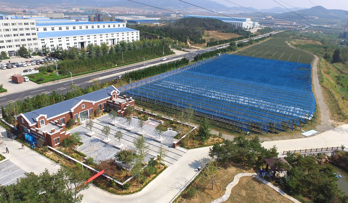 山東威海矮砧密植蘋果示范基地 山東威海矮砧密植蘋果示范基地
