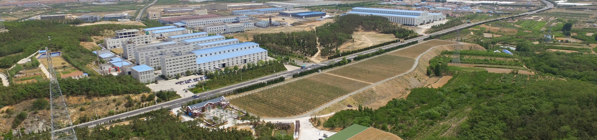 新元果業
