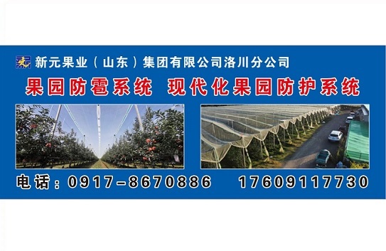 陕西洛川矮砧密植苹果示范基地 陕西洛川矮砧密植苹果示范基地