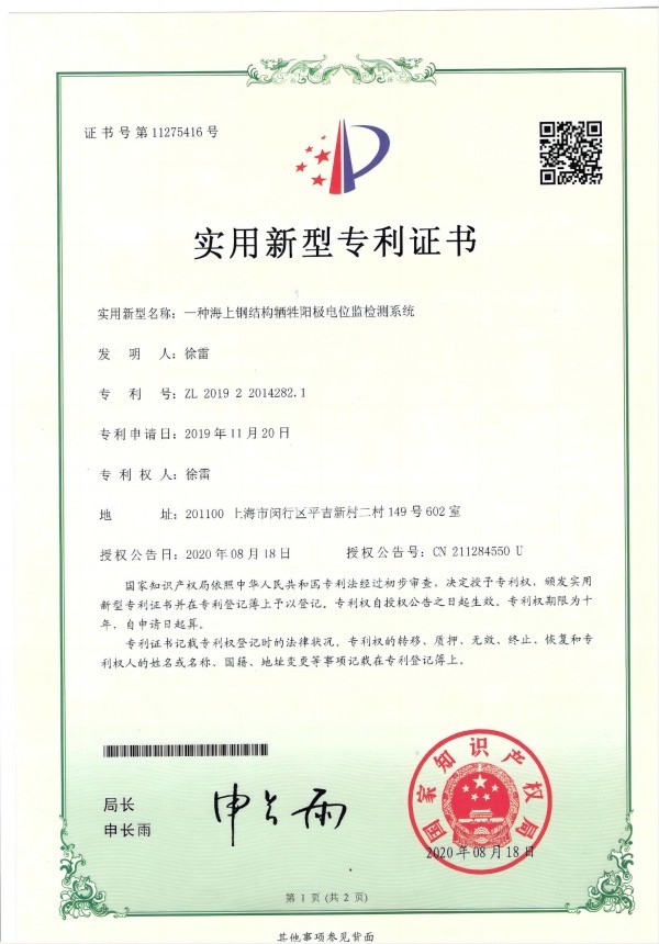 实用新型（1）
