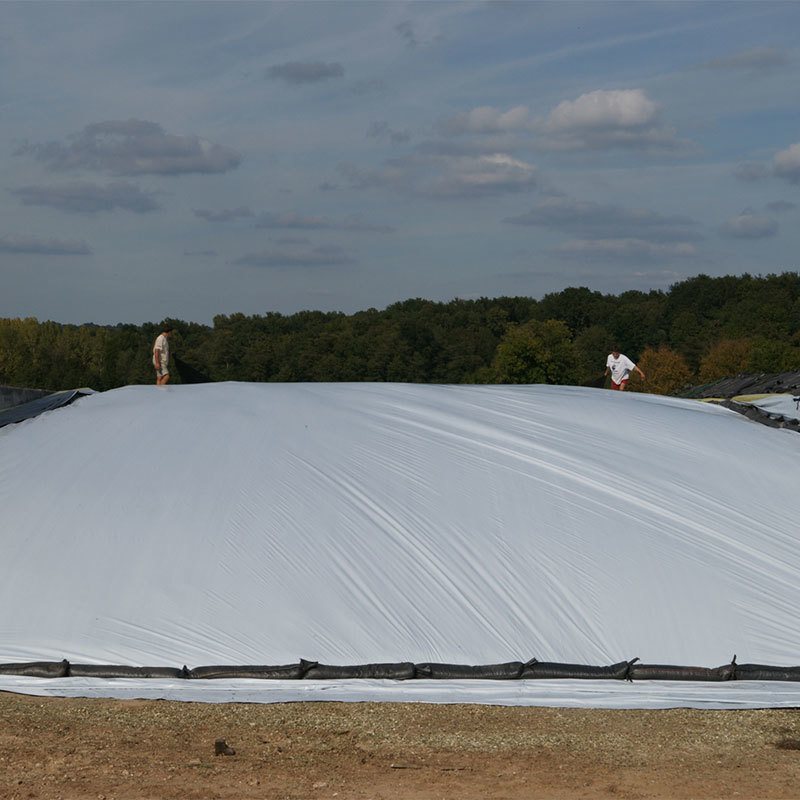 silage film