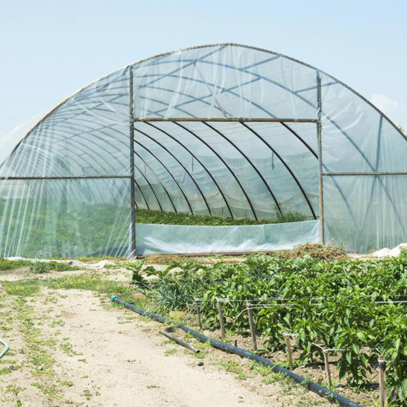 Greenhouse Film