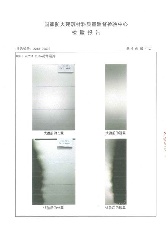 檢測報告3