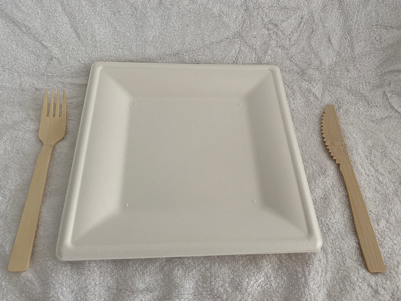 The plate