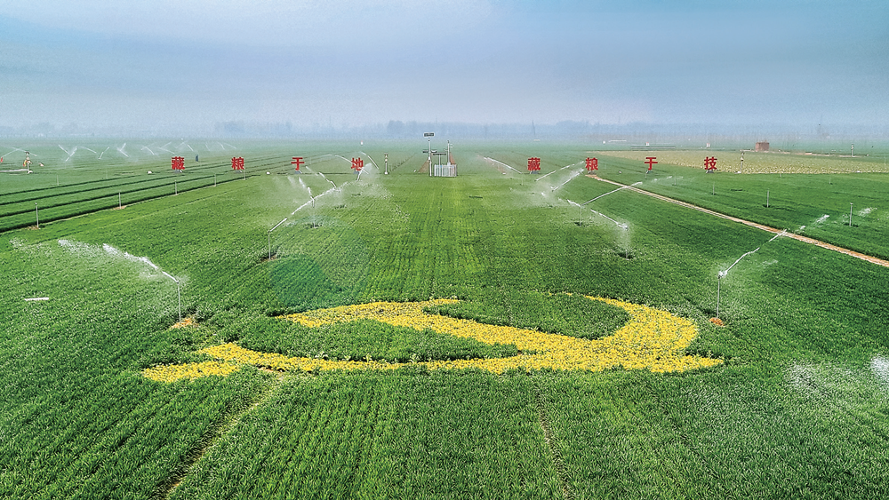 尉氏县高标准农田高效节水灌溉示范区（2020年）
