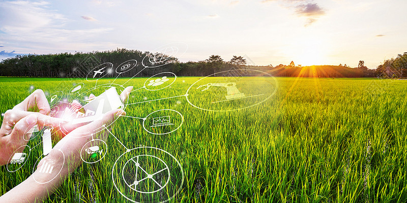 基于ZigBee和NB-IOT的智慧农业环境监测系统设计
