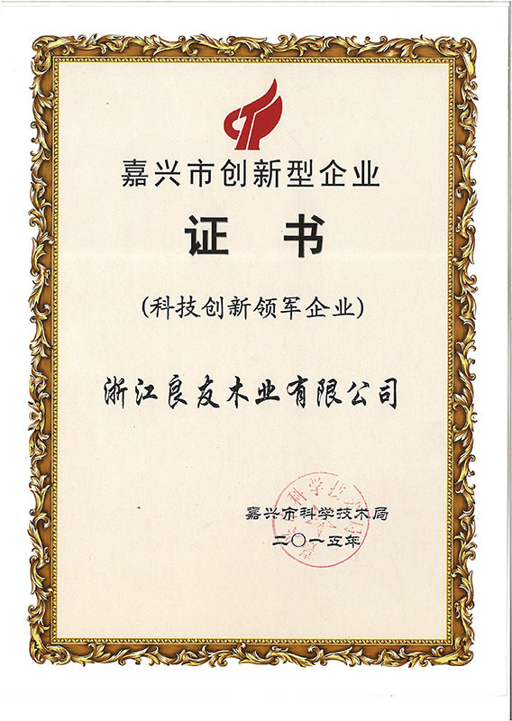 Jiaxing innovative enterprise certificate