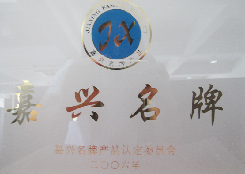 Jiaxing famous brand medal