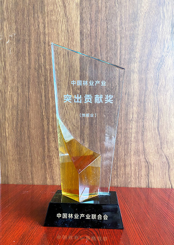 China Forestry Industry Outstanding Contribution Award (Flooring Industry)