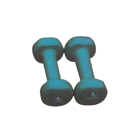 HQ-7003 Painting Dumbbell