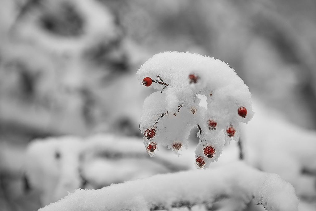 It's snowing heavily, and it starts in the middle of winter. Inherit the custom of heavy snow