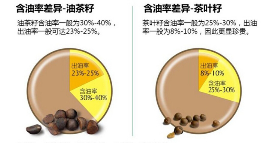 新闻