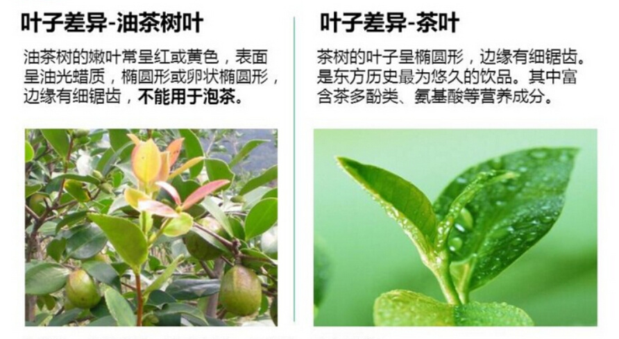 新闻
