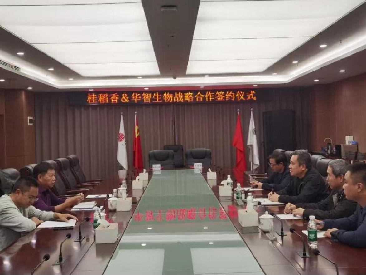 桂稻香2024年·大事記