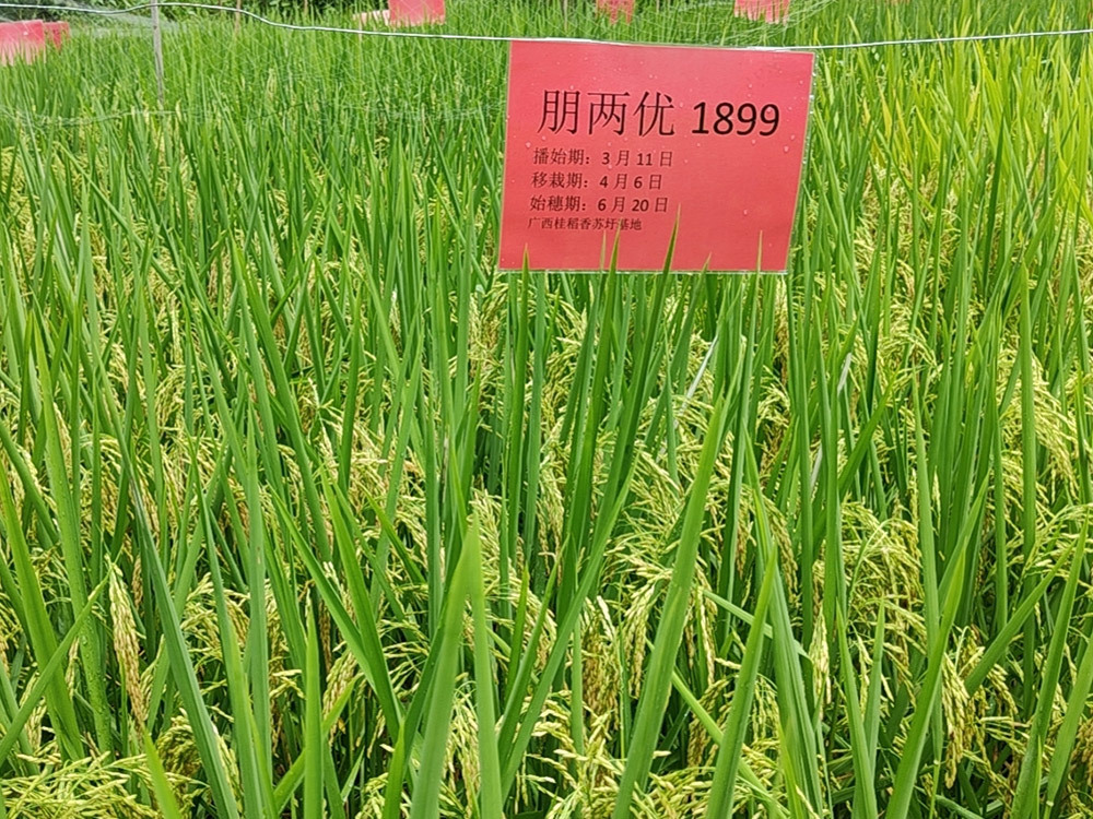 基地展示